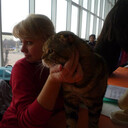 ���������� ���������, ���� ������� ��������, 50 ���, ������������ ��� ������, ����� � ���������, c�������� ���������