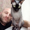  -,   , 40 ,   ,   