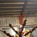 ���������� �������, ���� ������� Sasa, 37 ���, ������������ ��� ������, ����� � ���������