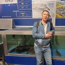 ���������� ������, ���� ������� �������, 38 ���, ������������ ��� c�������� ���������