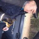 ���������� ������������, ���� ������� Anton, 36 ���, ������������ ��� ������, ����� � ���������