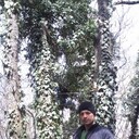  ,   , 41 ,   ,   , c 
