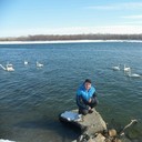 ���������� ���������, ���� ������� �������, 44 ����, ������������ ��� ������, ����� � ���������, c�������� ���������