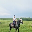 ���������� �����������, ���� ������� Samad, 29 ���, ������������ ��� ������, ����� � ���������, c�������� ���������, ���������