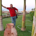 ���������� ����, ���� ������� ������, 66 ���, ������������ ��� ������, ����� � ���������, c�������� ���������