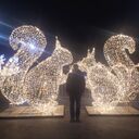 ���������� �����������, ���� ������� ����, 35 ���, ������������ ��� c�������� ���������, ���������