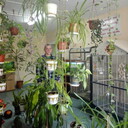 ���������� �����-���������, ���� ������� ���, 52 ����, ������������ ��� ������, ����� � ���������