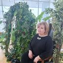 ���������� ���������, ���� ������� �������, 52 ����, ������������ ��� ����� � ���������, c�������� ���������