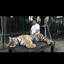  ,   MIRAS, 38 ,   ,   , c 