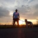 ���������� ���, ���� ������� �������, 37 ���, ������������ ��� ������, ����� � ���������