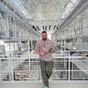 ���������� ������, ���� ������� �������, 38 ���, ������������ ��� ������, ����� � ���������