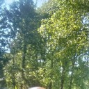  ,   Asim, 55 ,   ,   , c 