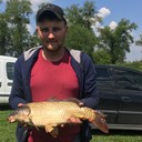  ,   Sasha, 38 ,   