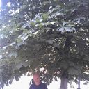  ,   , 41 ,   