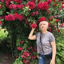  ,   , 48 ,   c 