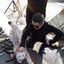 ���������� ������-���, ���� ������� ���������, 37 ���, ������������ ��� ������, ����� � ���������, c�������� ���������