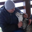 ���������� �����, ���� ������� �������, 41 ���, ������������ ��� ������, ����� � ���������, c�������� ���������