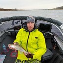 ���������� ������, ���� ������� �����, 37 ���, ������������ ��� ����� � ���������, c�������� ���������