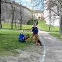 ���������� ������, ���� ������� ��������, 49 ���, ������������ ��� c�������� ���������