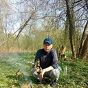  Plzen,   , 37 ,   ,   , c 
