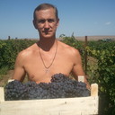 ���������� �����, ���� ������� ���, 55 ���, ������������ ��� ����� � ���������, c�������� ���������