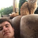  ,   , 28 ,     , c 