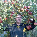  ,   , 64 ,     , c 