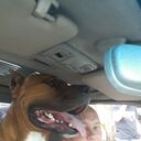 ���������� ����-�����������, ���� ������� �����, 44 ����, ������������ ��� ����� � ���������, c�������� ���������