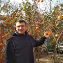 ���������� �������, ���� ������� �����, 48 ���, ������������ ��� ����� � ���������, c�������� ���������