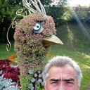  ,   , 49 ,   ,   