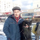  ,   , 51 ,     , c 