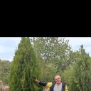  --,   , 63 ,   ,   , c 