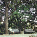 ���������� ��������, ���� ������� Revol, 44 ����, ������������ ��� ������, ����� � ���������, c�������� ���������