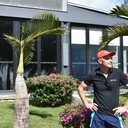 ���������� �������, ���� ������� ���������, 45 ���, ������������ ��� ������, ����� � ���������, c�������� ���������