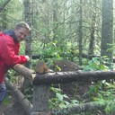 ���������� ���, ���� ������� ������, 55 ���, ������������ ��� ������, ����� � ���������, c�������� ���������