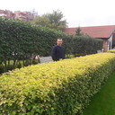  ,   , 40 ,     , c 