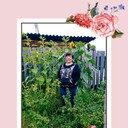  -,   , 52 ,   ,   , c 