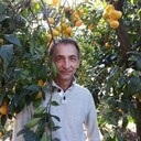 ���������� �����, ���� ������� ���������, 62 ����, ������������ ��� c�������� ���������