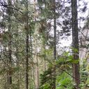 ���������� ����������, ���� ������� �������, 53 ����, ������������ ��� ������, ����� � ���������, c�������� ���������