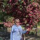 ���������� ����������, ���� ������� �������, 66 ���, ������������ ��� c�������� ���������