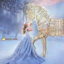 ���������� �������, ���� ������� ������ ����, 51 ���, ������������ ��� ����� � ���������, c�������� ���������