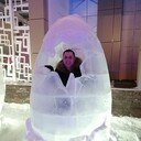 ���������� ����������, ���� ������� ������, 36 ���, ������������ ��� ������, ����� � ���������, c�������� ���������