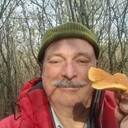  ,   , 54 ,   ,   , c , 