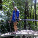 ���������� �������, ���� ������� ���������, 38 ���, ������������ ��� ������, ����� � ���������, c�������� ���������