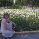 ,   , 50 ,  