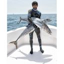 ���������� �������, ���� ������� ������, 46 ���, ������������ ��� ������