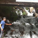  ,   Nur88, 37 ,     , c 