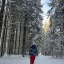 ���������� �����, ���� ������� ����, 27 ���, ������������ ��� ������, ����� � ���������