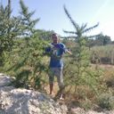  ,   , 48 ,   ,   , c 