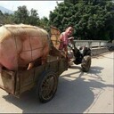 ���������� �����������, ���� ������� �������, 22 ����, ������������ ��� ������, ����� � ���������, c�������� ���������